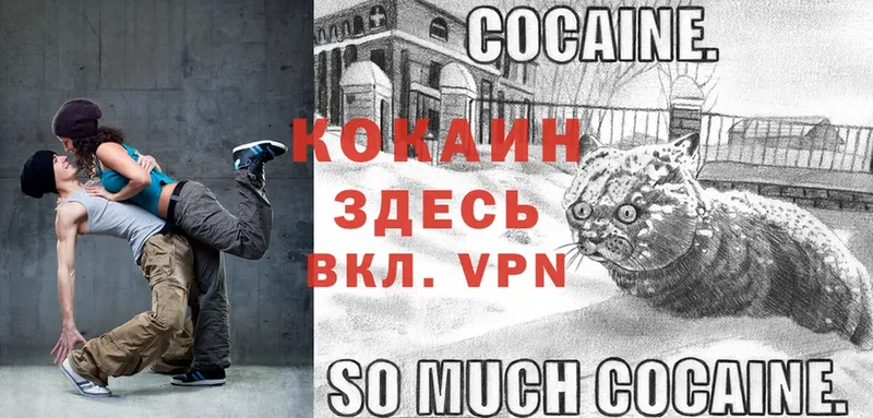 как найти   Камбарка  Cocaine Перу 